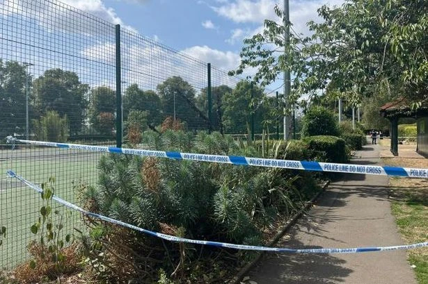 Boy, 15, raped teenage girl he had never met after following her into park