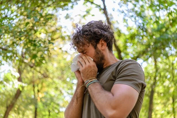 How to tell if you have hay fever or Covid as doctor points out key difference