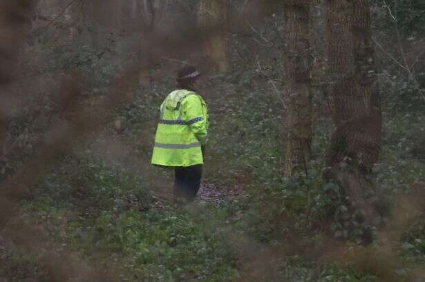 Chelmsley Wood 8am rape horror as woman 'attacked by two men' in woodland