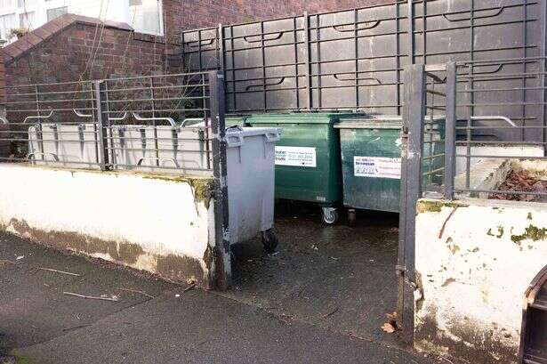 Christmas 'ruined' for Birmingham mum-of-five fined £1k for using neighbour's wheelie bin