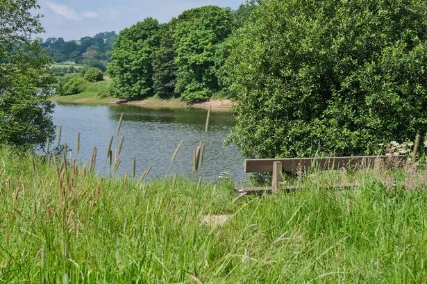 Severn Trent nine tips to save money after 'dramatic change' in weather sparks water concerns