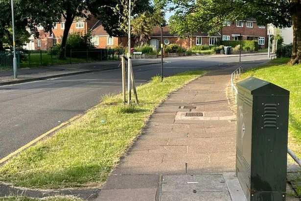Murder squad police tell men involved in fatal fight: 'Give yourselves up'
