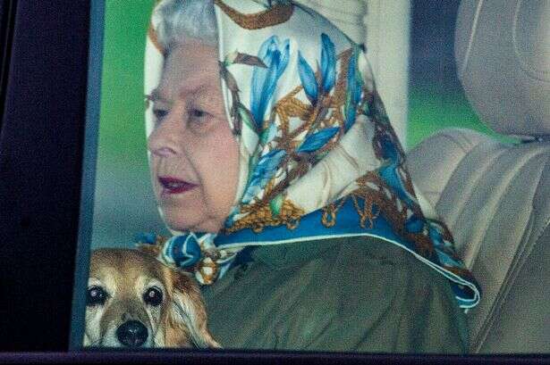 Queen's note reveals misbehaving corgi puppies ate royal photograph