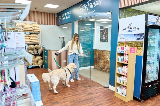 Emmi-Pet dog teeth cleaning now available at Pets & Friends