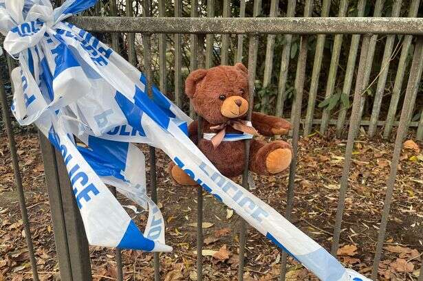 Teddy bear placed at Smethwick crash scene where boy 2, died as police issue plea to Porsche driver