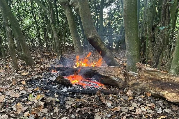 Reckless fire starters at Birmingham beauty spot risk widespread damage in repeat blazes