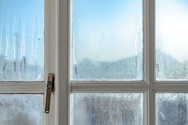 German window trick that stops condensation as Brits are warned of mould risk