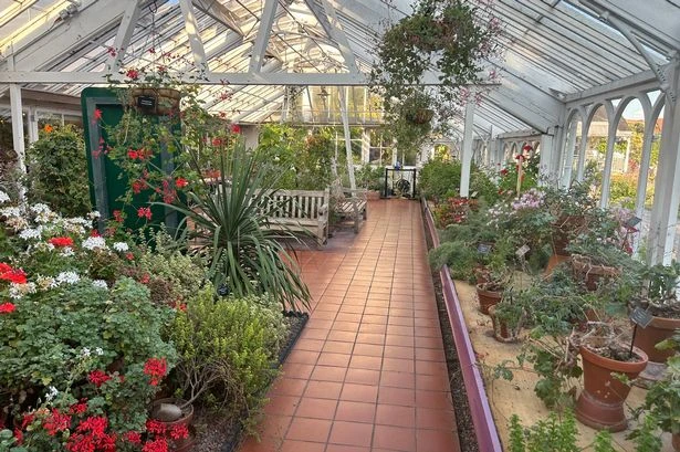 8 photos showing inside one of Birmingham's oldest and most beautiful attractions