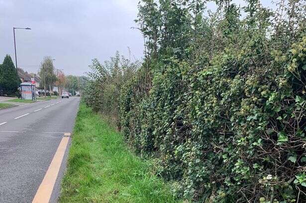 Sutton Coldfield cycle path plan for huge new development sparks hundreds of complaints