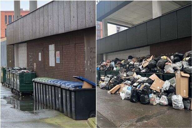 Birmingham wall of rubbish cleared after being left to 'fester in open air'