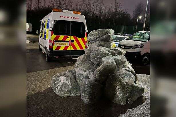 Police bust £2.8 million Midlands cannabis farm as hunt underway for the drug dealers