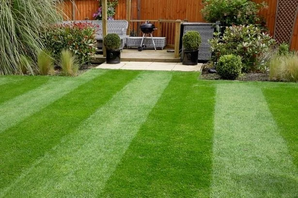 Amazon's £14 'super easy' garden lawn fix that 'transforms grass in a week'