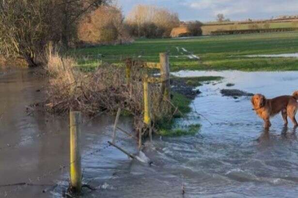 BBC Gardeners' World's Monty Don shares shocking video of flooding near home and says 'happening much more often'