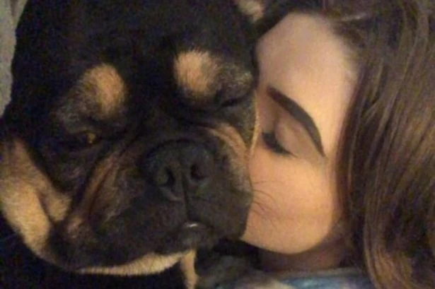 My dog died of heatstroke after doggy daycare staff made awful common mistake