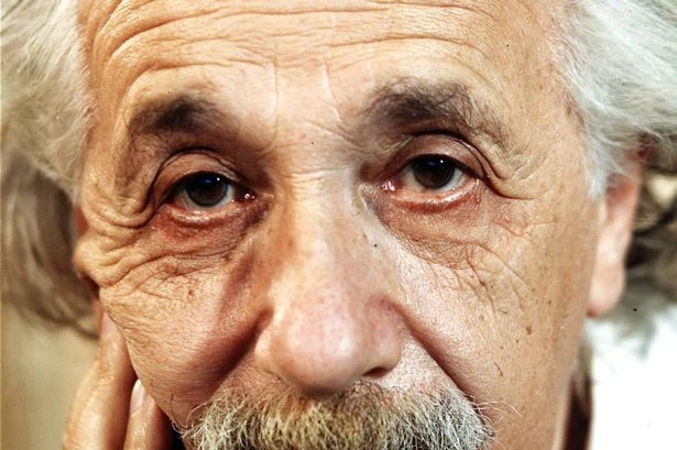 Einstein's riddle leaves people baffled as they spend hours trying to solve it