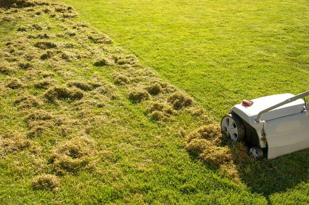 Amazon's £23 'game changer' hack you can 'wear when mowing the lawn'