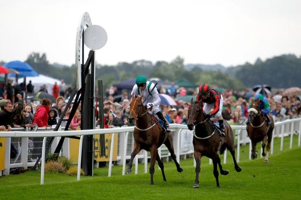 Course and distance specialist to do it again at Ripon - Daily Star's Tuesday tips