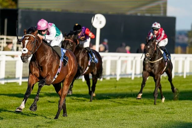 'Haggas sends him out refuelled and raring to go again' – Jason Heavey's Thursday tips