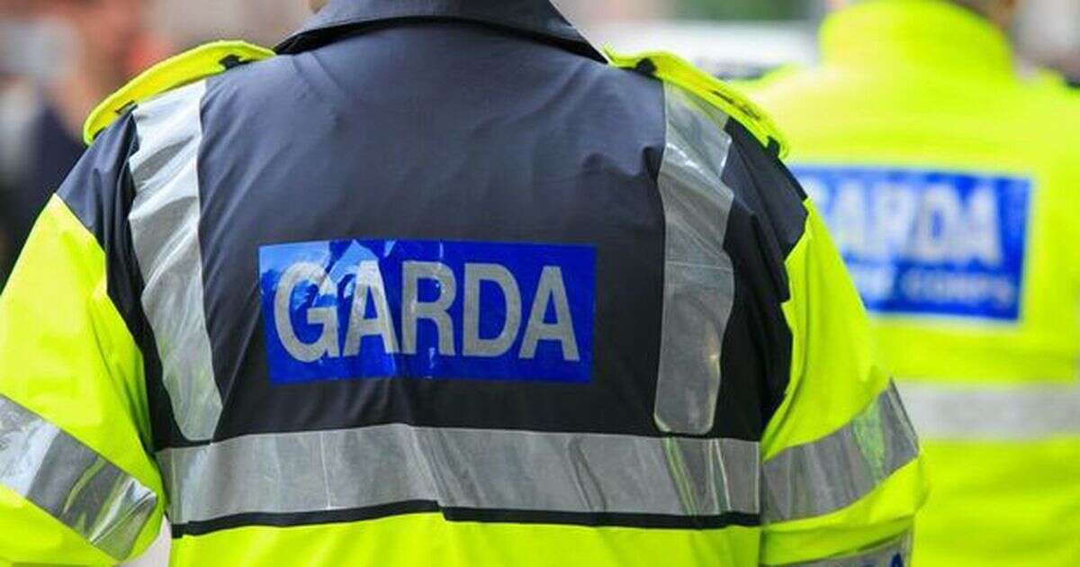 Major development in Country Wexford fatal stabbing of girl, 8, who tried to protect mum