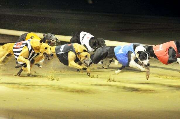 Free Greyhound racing tickets to give away with Arena Racing Company