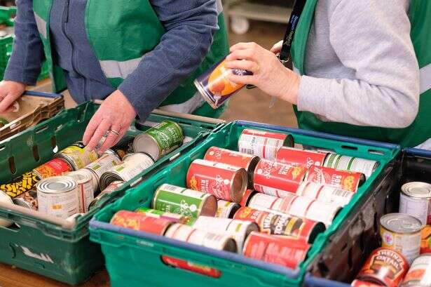 'I haven't enough for a pint of milk, a holiday is a pipe dream' - Quinton mum-of-six rescued by foodbank