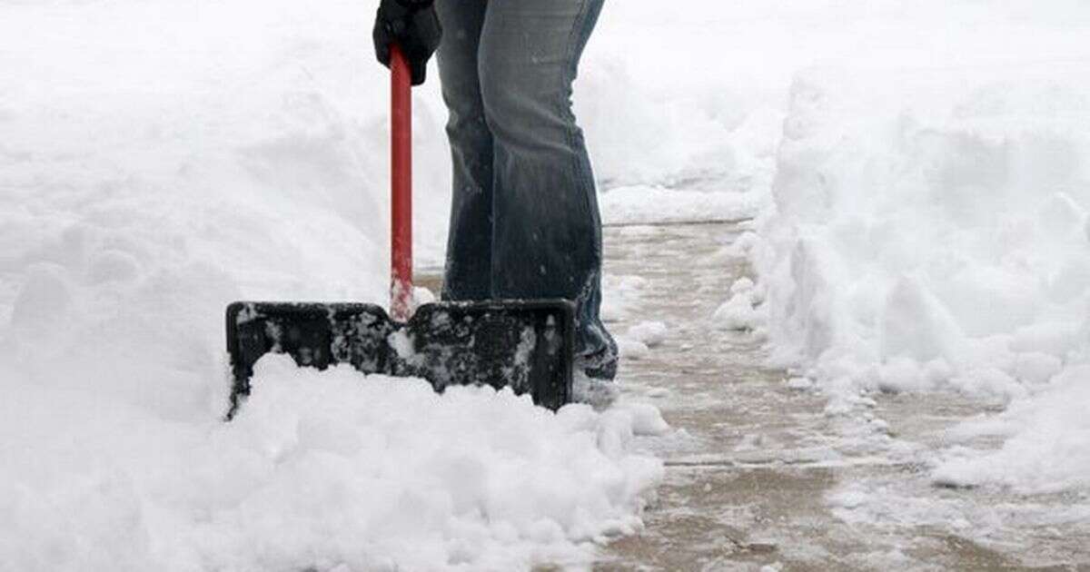 Man sparks outrage as he shovels snow into neighbour's garden to 'save time'