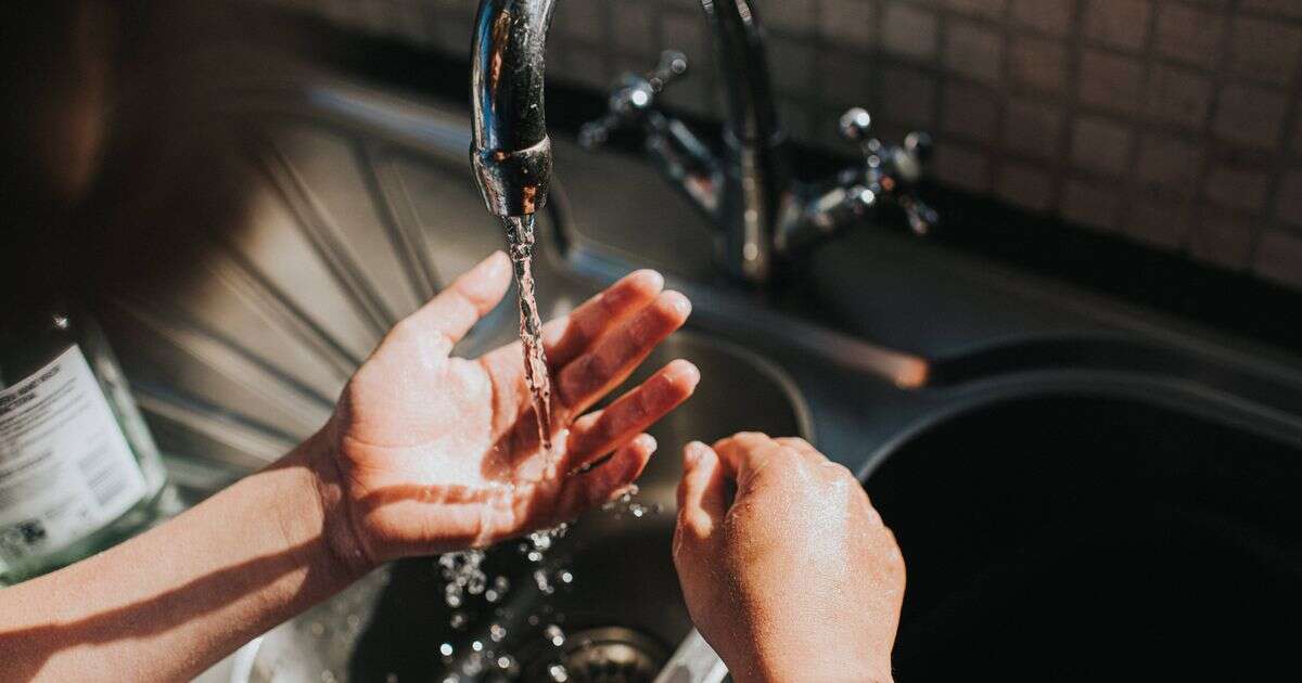 'Hidden germ risk' warning when using public sinks