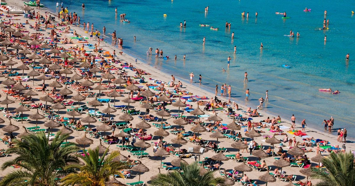 Majorca 'shark attack' as tourist savaged and popular beach evacuated