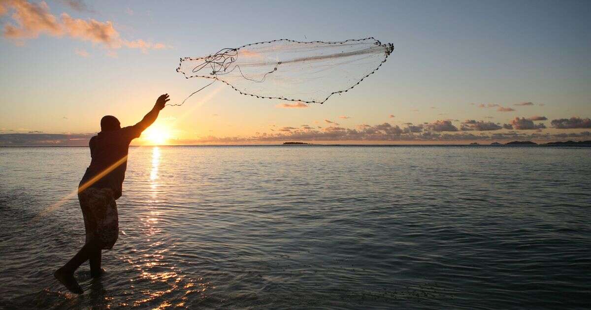 Fisherman reels in 'alien-like' creature that looks like it's from another planet