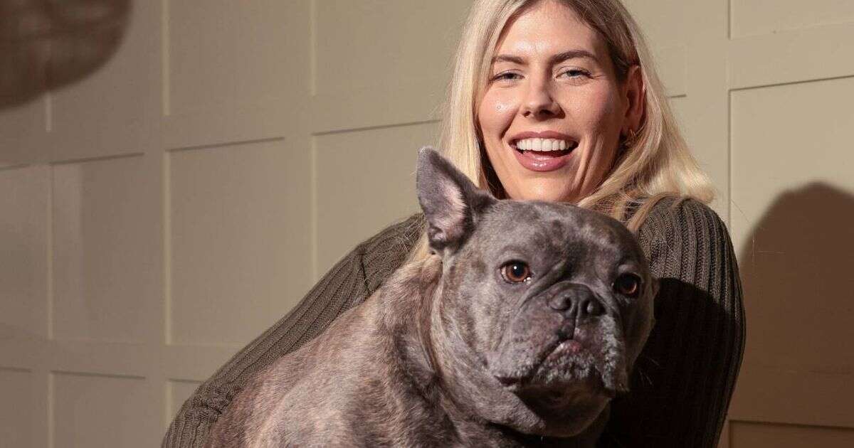 'My French bulldog is absolutely massive - he could be the biggest in the world'