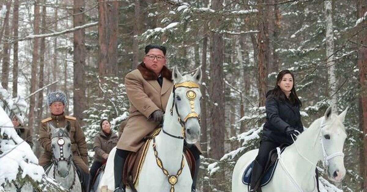 Kim Jong-un and wife compared to 'tubby' Lord of the Rings characters by newspaper