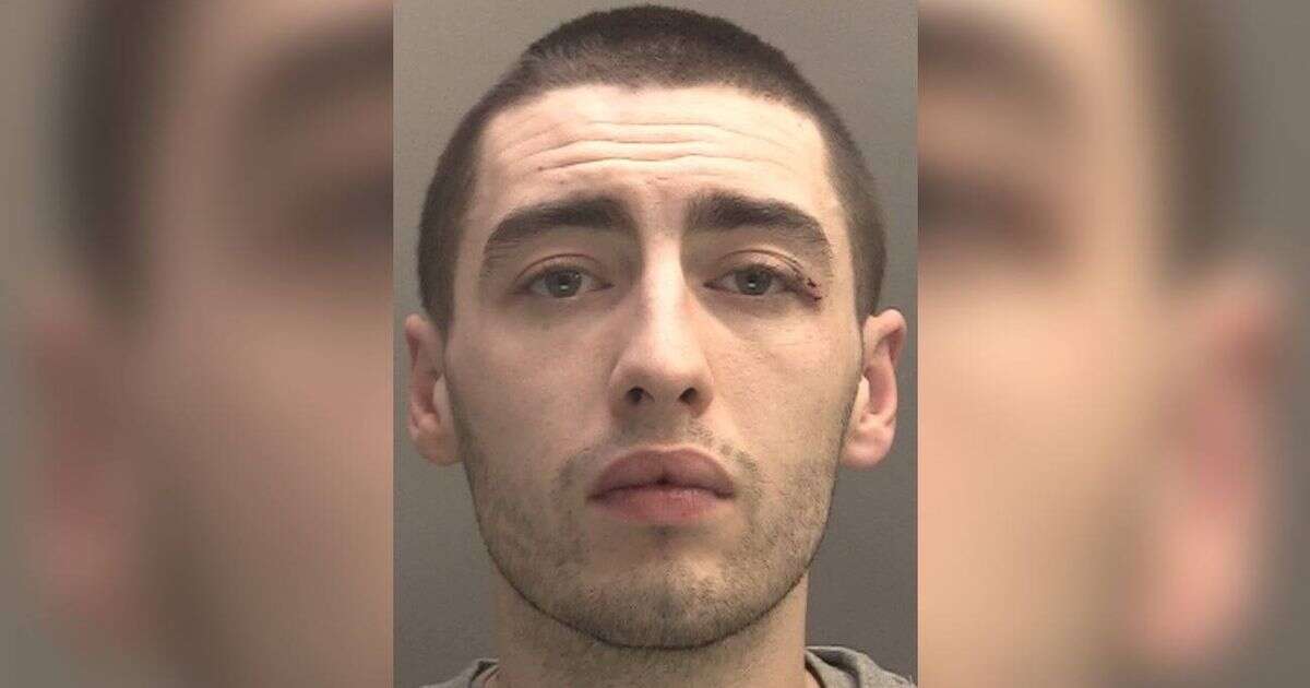 Thug shouts 'love you loads' as he's jailed for what he did to police officer