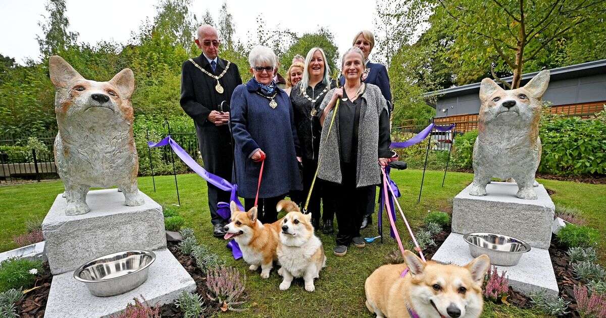 Outrage in Walsall as council spend £35,000 on corgi statues for Queen tribute