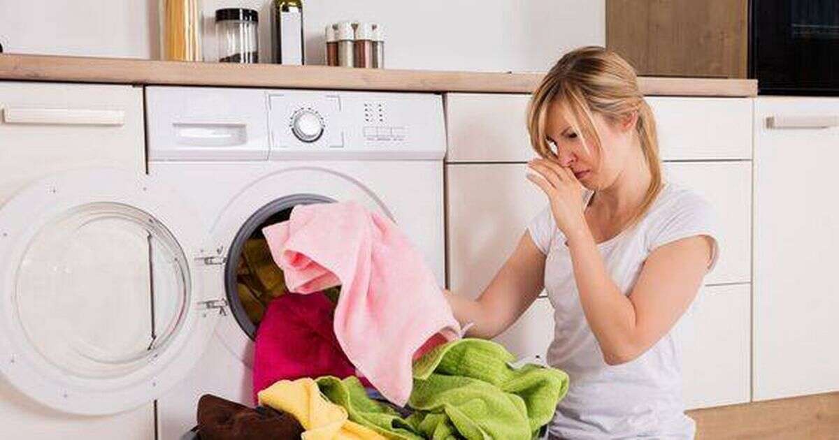 Laundry expert shares game changing simple item to stop clothes smelling 'musty'