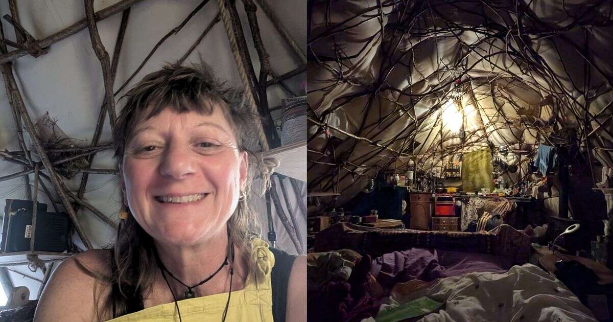 Artist, 55, embraces 'Hobbit home' living as she hopes to move to tree house