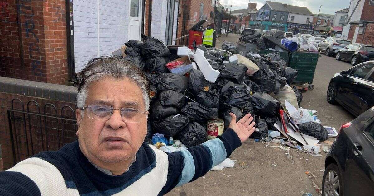 MP warns of 'plague of rats' as city's bin bags pile up due to ongoing industrial dispute