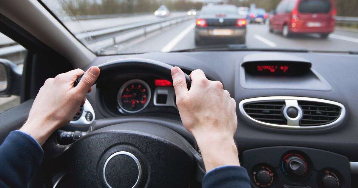 Drivers warned to keep conkers in their cars - or they could face a £2,500 fine