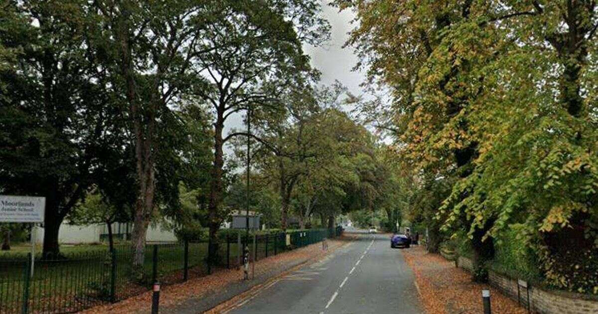 Urgent warning as two children 'grabbed by strangers' in separate abduction attempts