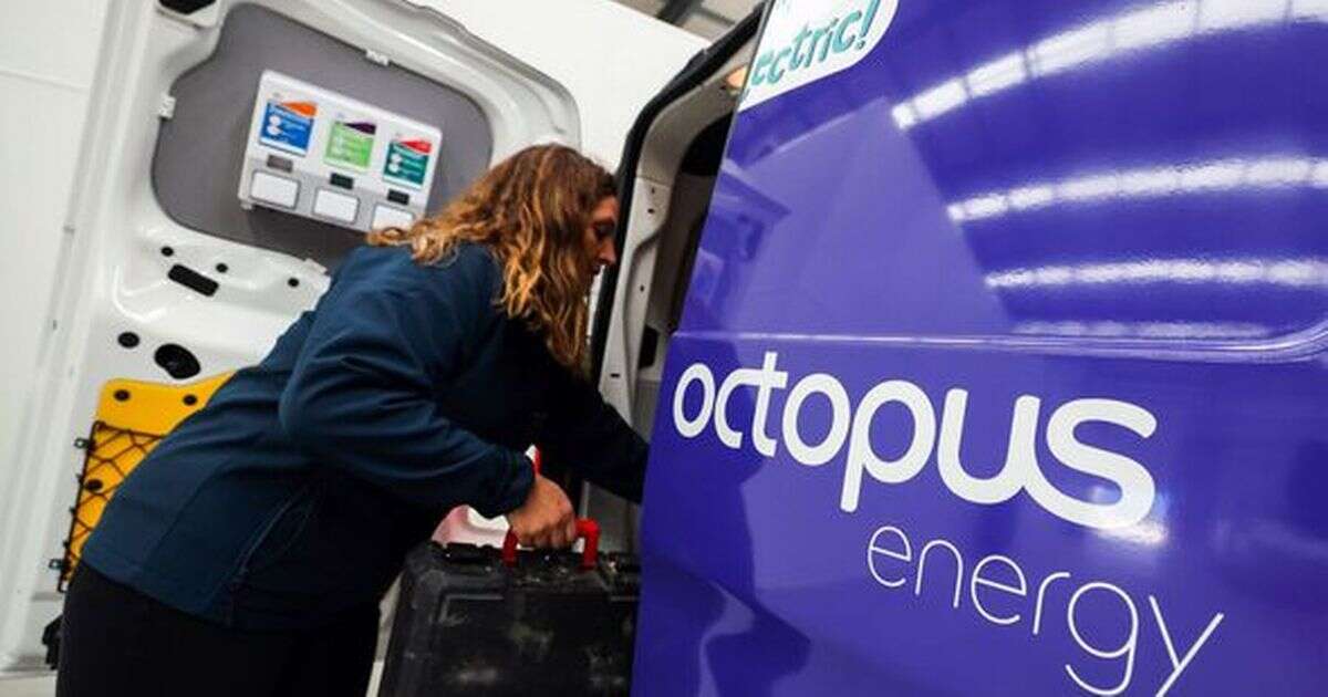 Octopus Energy offers customers 5 years of free electricity - but there's a catch