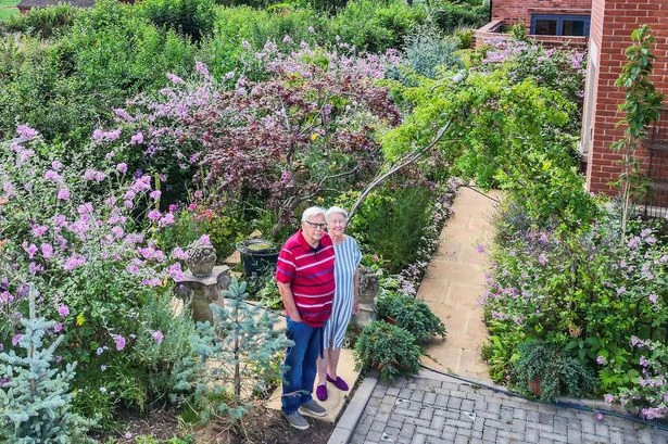 Pensioners face £1k 'witch hunt' if they don't rip up garden plants