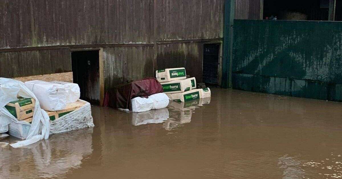 Four dogs die in 'devastating' floods after 'absolutely no warning' given to kennels