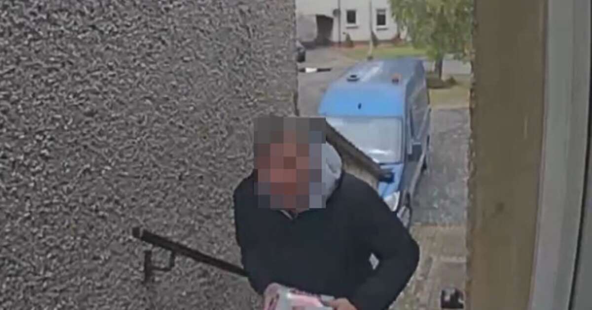 Brazen thief caught on camera 'swiping parcel from home' in broad daylight