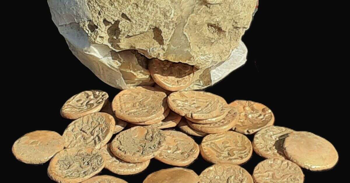 Coins found by metal detectorist could sell for £20,000