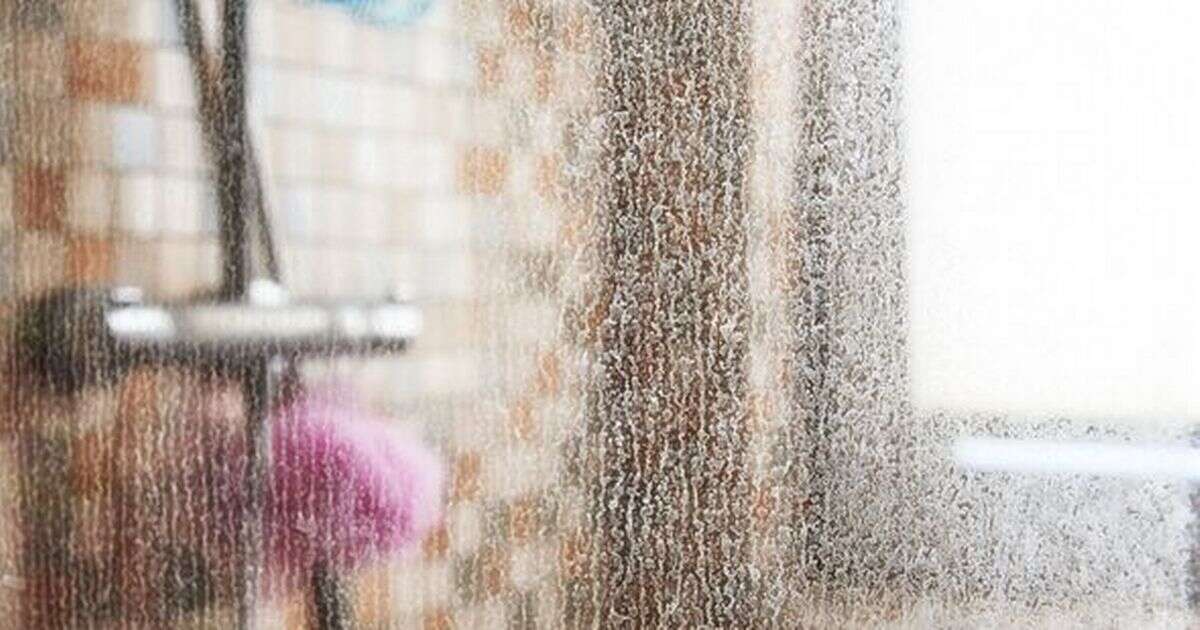 Your shower screens will be sparkling - with no vinegar - if you use 25p itemCleaning