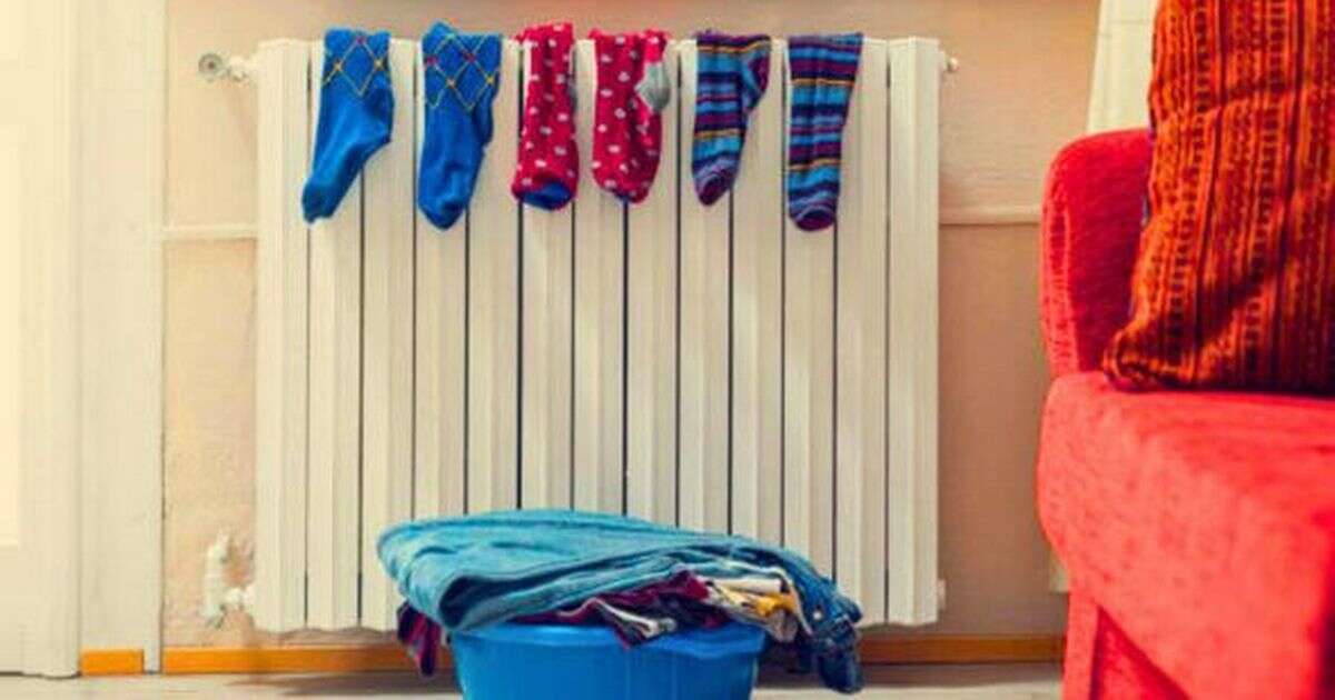 Laundry experts share must-know tricks for drying clothes indoors this winter