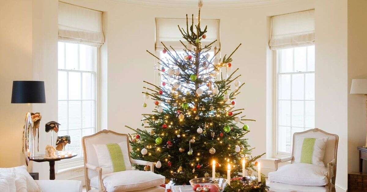 'Do not put your Christmas tree in a bay window' this year warning issued