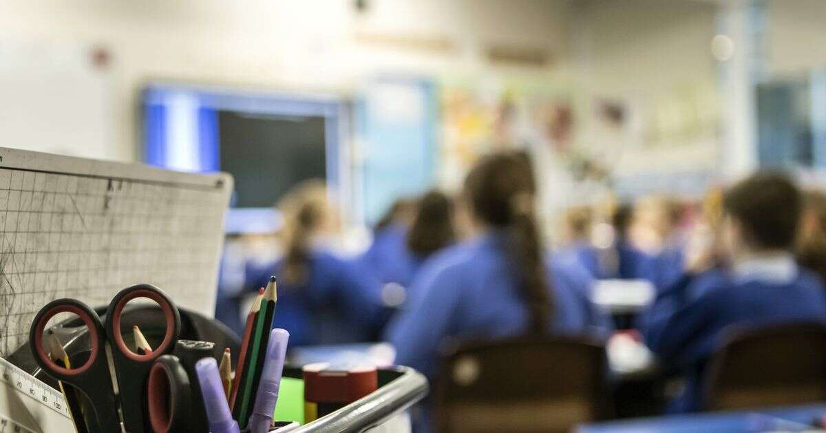 Unauthorised student absences fall in England as parents face higher finesEducation