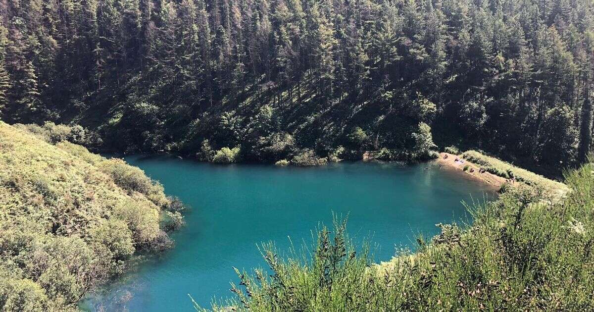 Stunning Welsh reservoir that went viral on TikTok on sale for less than a house deposit