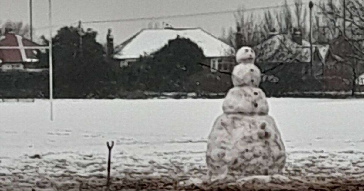 Local 'absolutely disgusted' after spotting obscene snowman on walk with grandchildren