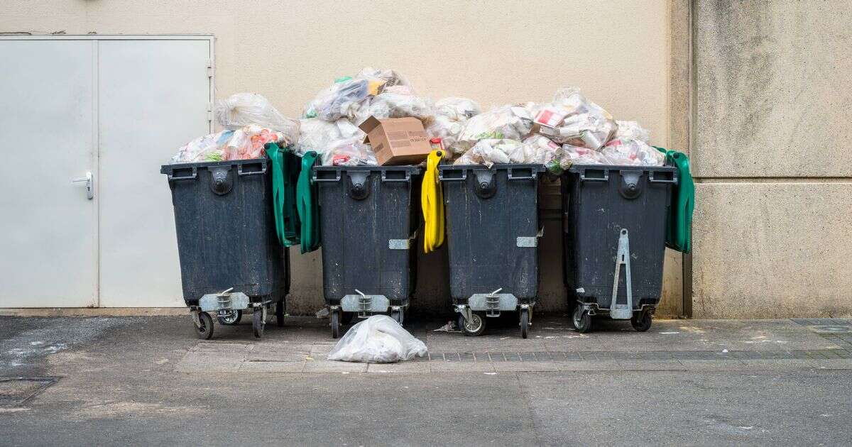 People putting bins out in March face £1,000 fine over little-known rule